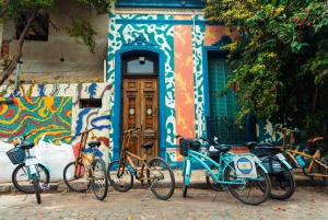 Buenos Aires: Tour in bicicletta dei graffiti e dell'arte urbana con pranzo