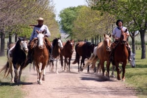 Buenos Aires: Guided Gaucho Day Tour at a Ranch