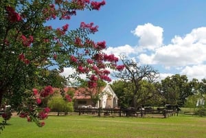 Buenos Aires: Guided Gaucho Day Tour at a Ranch