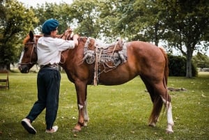 Buenos Aires: Guided Gaucho Day Tour at a Ranch