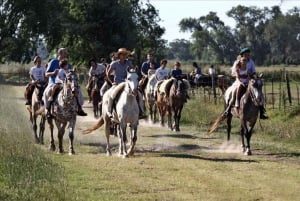 Buenos Aires: Guided Gaucho Day Tour at a Ranch