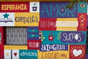 Buenos Aires: Tour di mezza giornata a piedi di Palermo e Soho