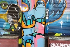 Buenos Aires: Tour di mezza giornata a piedi di Palermo e Soho