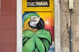 Buenos Aires: Tour di mezza giornata a piedi di Palermo e Soho