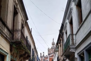 Buenos Aires: Hidden Neighborhoods Walking Tour