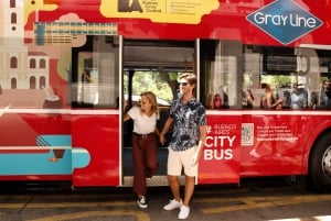 Buenos Aires: Hop-on hop-off -bussi, ilmaiset kävelykierrokset ja vammaiset henkilöt