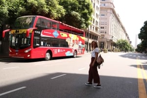 Buenos Aires: Hop-on hop-off -bussi, ilmaiset kävelykierrokset ja vammaiset henkilöt