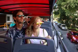 Buenos Aires: Hop-on hop-off -bussi, ilmaiset kävelykierrokset ja vammaiset henkilöt