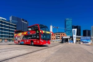Buenos Aires: Hop-on hop-off -bussi, ilmaiset kävelykierrokset ja vammaiset henkilöt