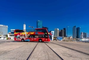 Buenos Aires: Hop-on hop-off -bussi, ilmaiset kävelykierrokset ja vammaiset henkilöt