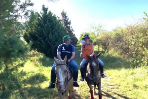 Buenos Aires: Passeio a Cavalo e Polo Tour com Almoço