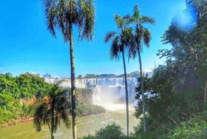 Buenos Aires : Visite privée des chutes d'Iguazu avec vols