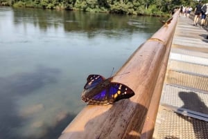 Buenos Aires : Visite privée des chutes d'Iguazu avec vols