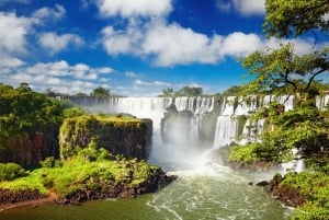 Buenos Aires : Visite privée des chutes d'Iguazu avec vols