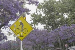 Buenos Aires på én dag på el-sykkel med lunsj