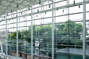 Buenos Aires: MALBA Museo de Arte Latinoamericano Tour