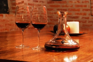 Premium Argentinian Wines and Malbec Tasting Experience