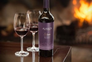 Buenos Aires : Visite guidée nocturne du Palacio Barolo avec vin