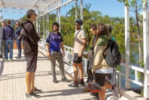 Buenos Aires: Palermo & Recoleta -kulttuurikylpy pyörällä