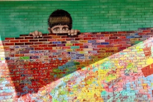 Buenos Aires: Palermo Soho Streetart-wandeltour