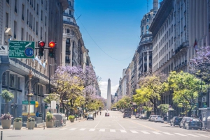 Buenos Aires Hafen Landausflug: Private Downtown Tour