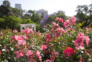 Buenos Aires Private City Tour with a local guide