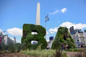 Tour privato della città di Buenos Aires con una guida locale