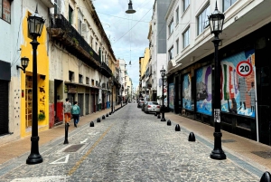 Buenos Aires: Privat tur i byen med en lokal guide