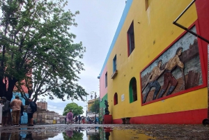 Buenos Aires: Tour privado de la ciudad con guía local