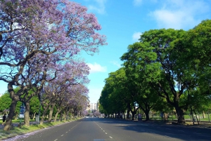 Buenos Aires: City Tour particular na cidade com guia local