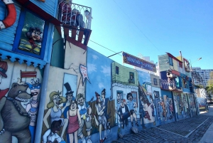 Buenos Aires: Private Tour mit ortskundigem Guide durch die Stadt