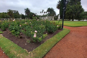 Buenos Aires: City Tour particular na cidade com guia local