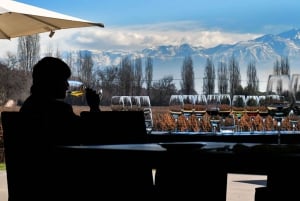 Buenos Aires: Private Tagestour zum Weingut in Mendoza mit Flugticket