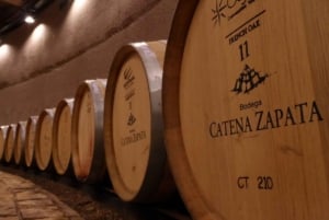 Buenos Aires: Private Mendoza Winery Day Trip with Airfare