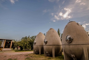 Buenos Aires : Excursion privée d'une journée dans les vignobles de Mendoza avec billet d'avion