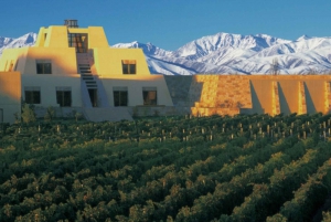 Buenos Aires: Private Mendoza Winery Day Trip with Airfare