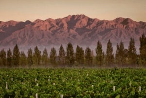 Buenos Aires: Excursión privada de un día a Bodegas de Mendoza con billete de avión