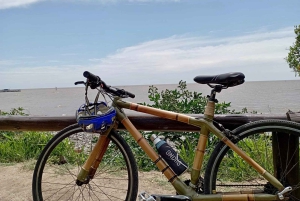 Privat sykkel- og kajakkutflukt med lunsj i Tigre, Buenos Aires