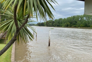 Buenos Aires: Private Tigre Delta, San Isidro & Puerto de …