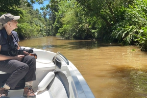 Buenos Aires: Private Tigre Delta, San Isidro & Puerto de …