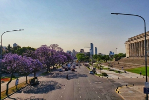 Promoción Buenos Aires: Traslado + Tour de la ciudad