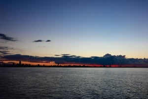 Buenos Aires: Rejs o zachodzie słońca Puerto Madero z otwartym barem