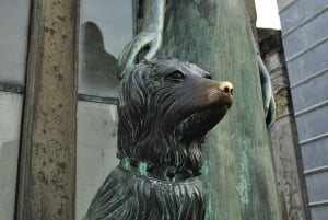 Buenos Aires: Guidet tur på Recoleta kirkegård (engelsk)