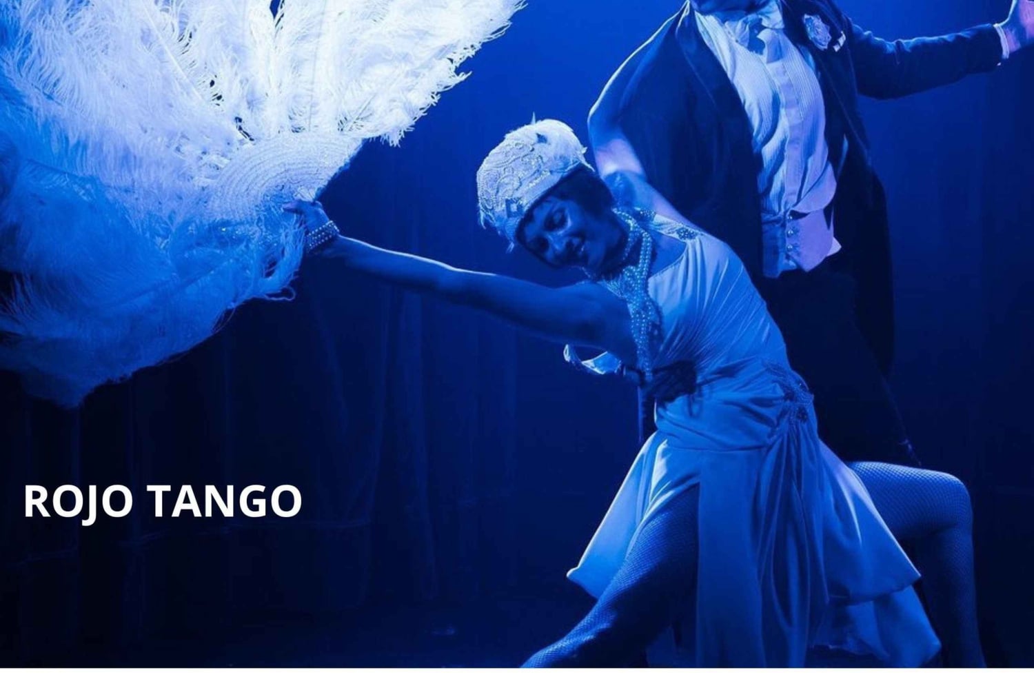 Buenos Aires: 'Rojo Tango - det mest eksklusive og VIP tangoshow alt inklusive