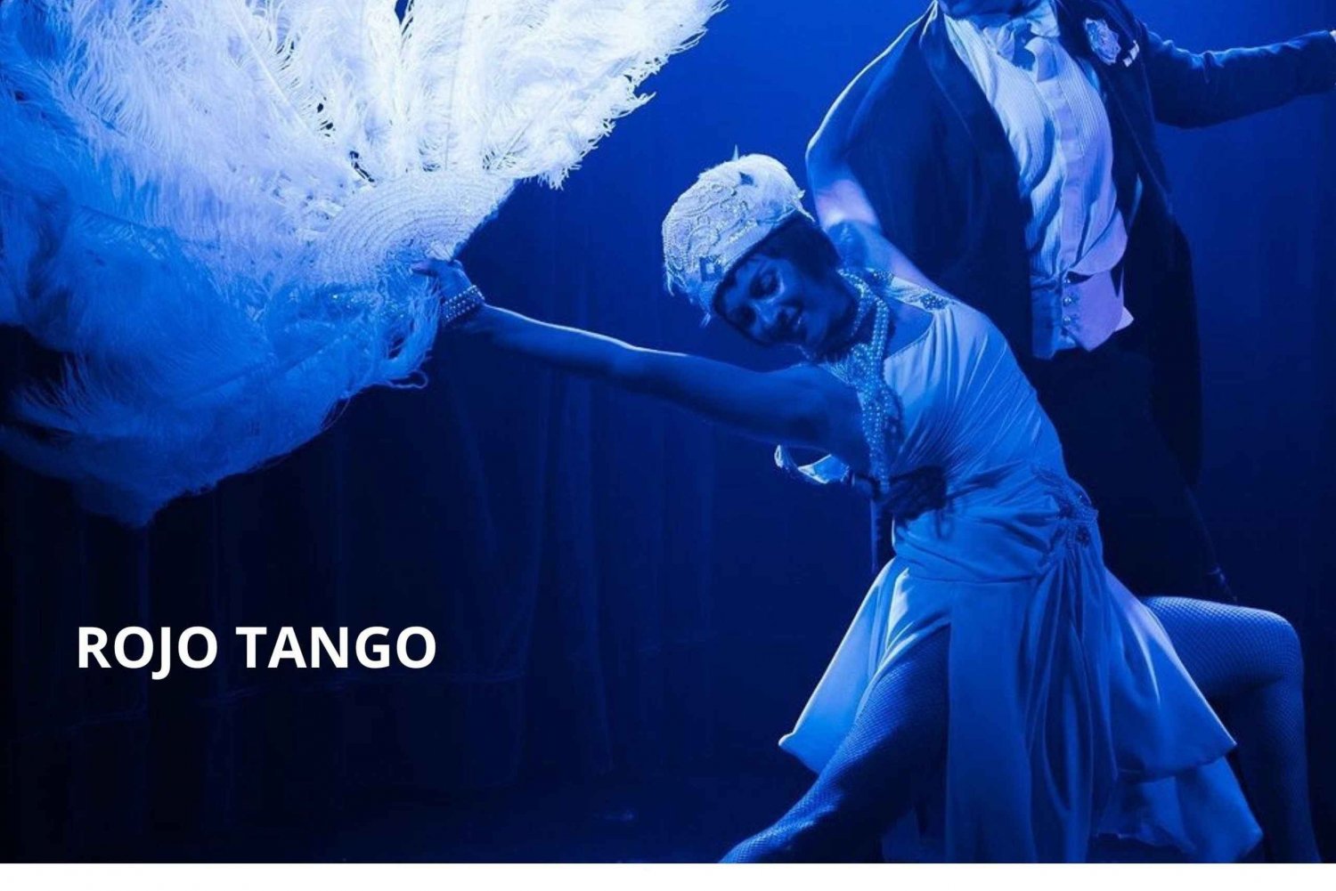 Buenos Aires: 'Rojo Tango - det mest eksklusive og VIP tangoshow alt inklusive