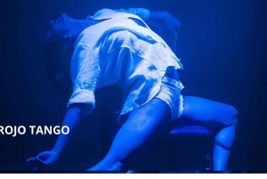 Buenos Aires : 'Rojo Tango - Spectacle de tango le plus exclusif et le plus VIP, tout compris