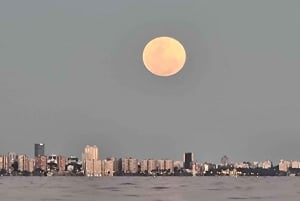 Buenos Aires: Paseo en velero, vista especial de la ciudad y comida a bordo