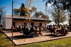 Buenos Aires: Tour del vigneto di San Antonio de Areco con vino