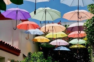 Buenos Aires: San Telmo and Boca Food and Walking Tour