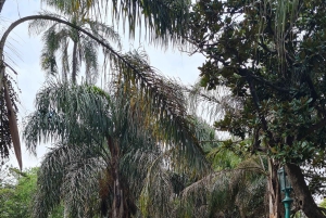 Buenos Aires: San Telmo, História, Bares e Tango!